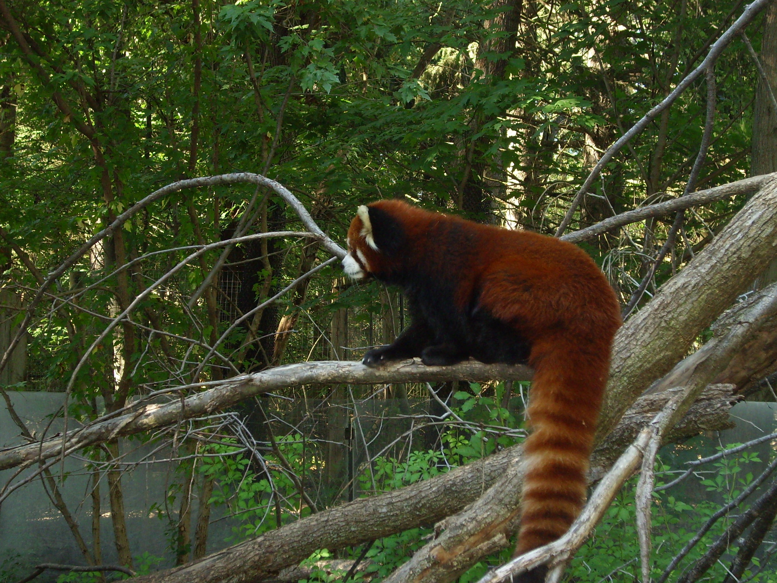 Binder Park Zoo