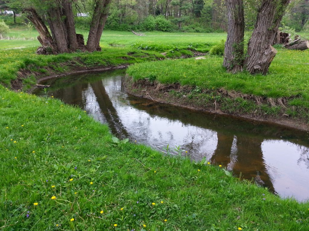 Maple Creek running through Kiwanis Park