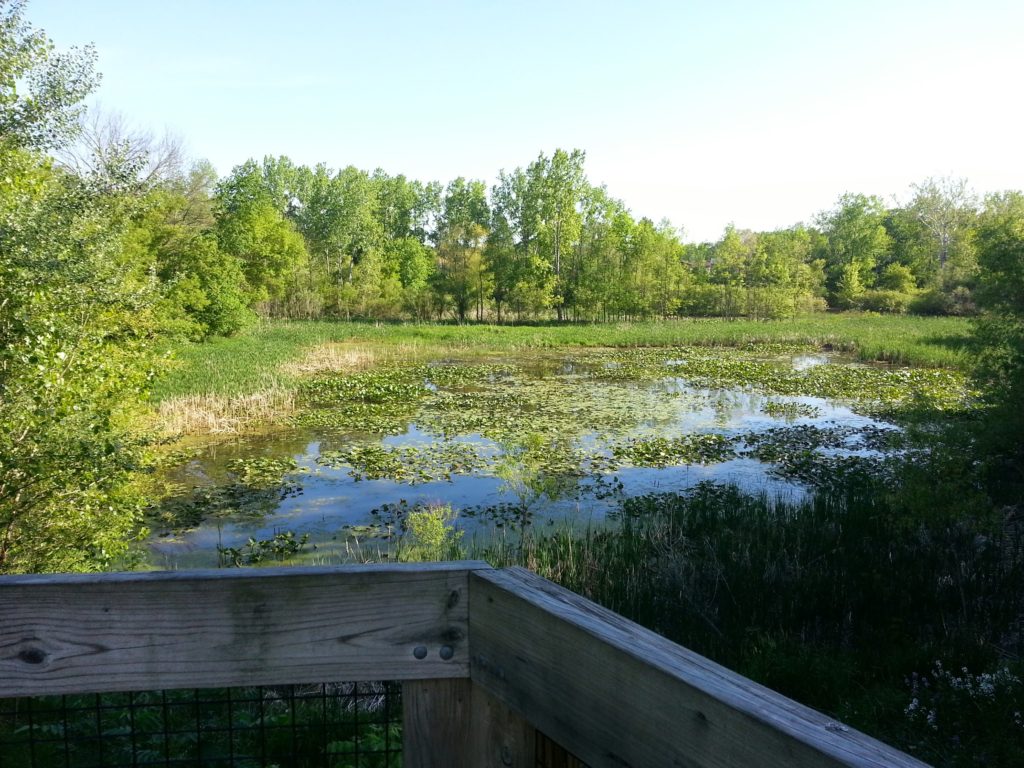 Main Street Overlook, Mill Pond Park, Bangor