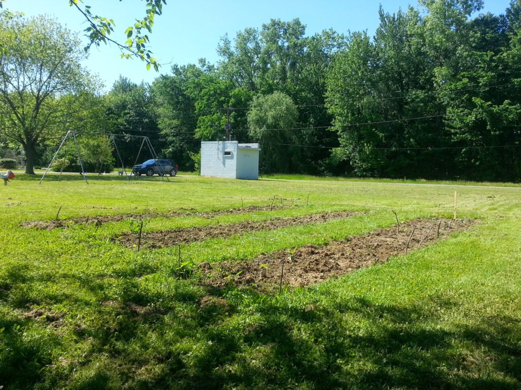 Bangor Community Garden, Northside Park