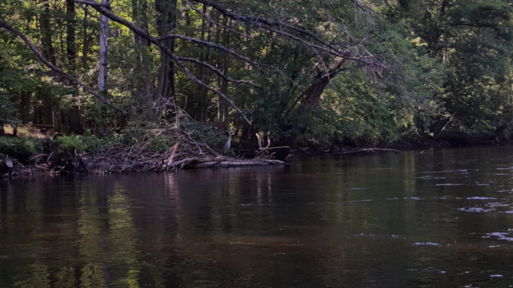 Grand River, Ingham County, Michigan