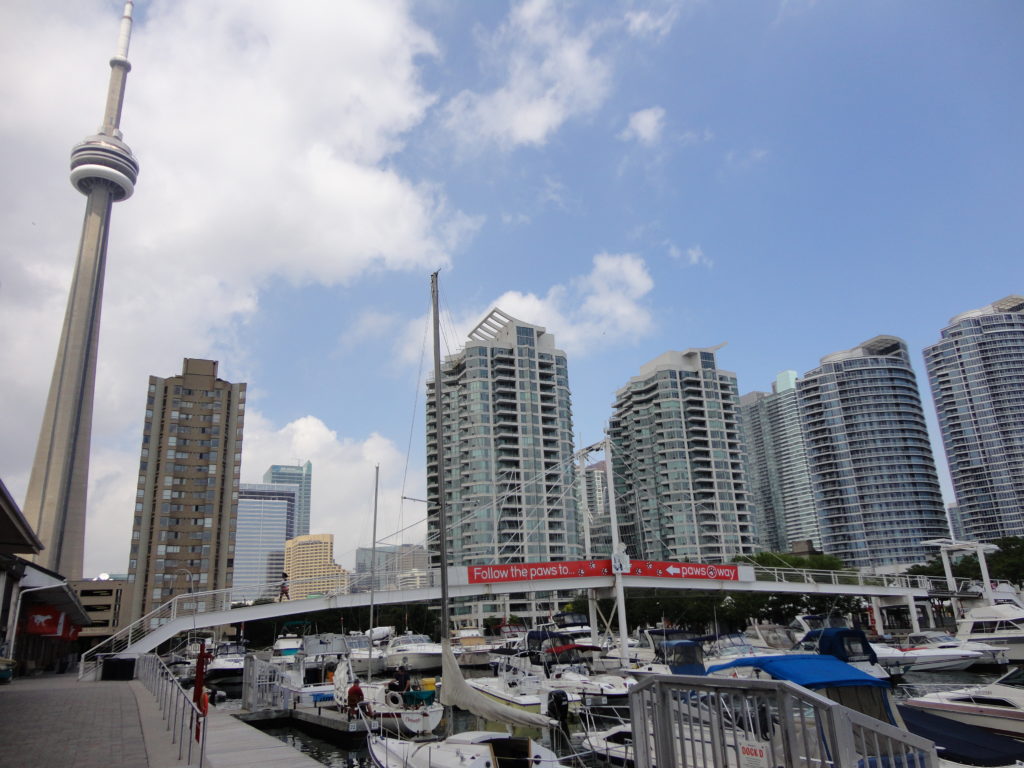 CN Tower and Toronto Harbour, Toronto