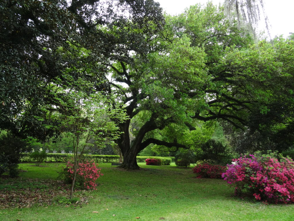 Natchez National Historical Park