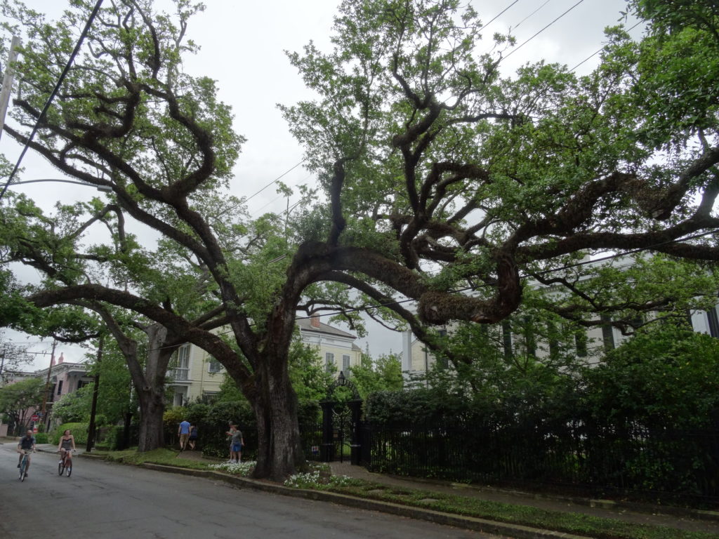 Garden District, New Orleans