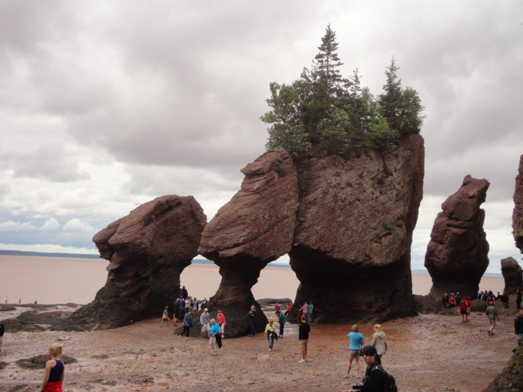 Bay of Fundy's Hopewell Rocks, also known as Flowerpot Rocks