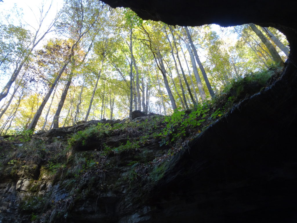 Mammoth Cave Natural Entrance, Mammoth Cave National Park