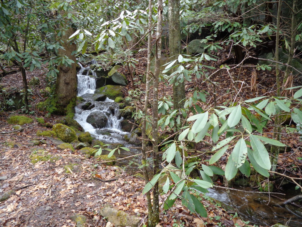 Great Smoky Mountains National Park