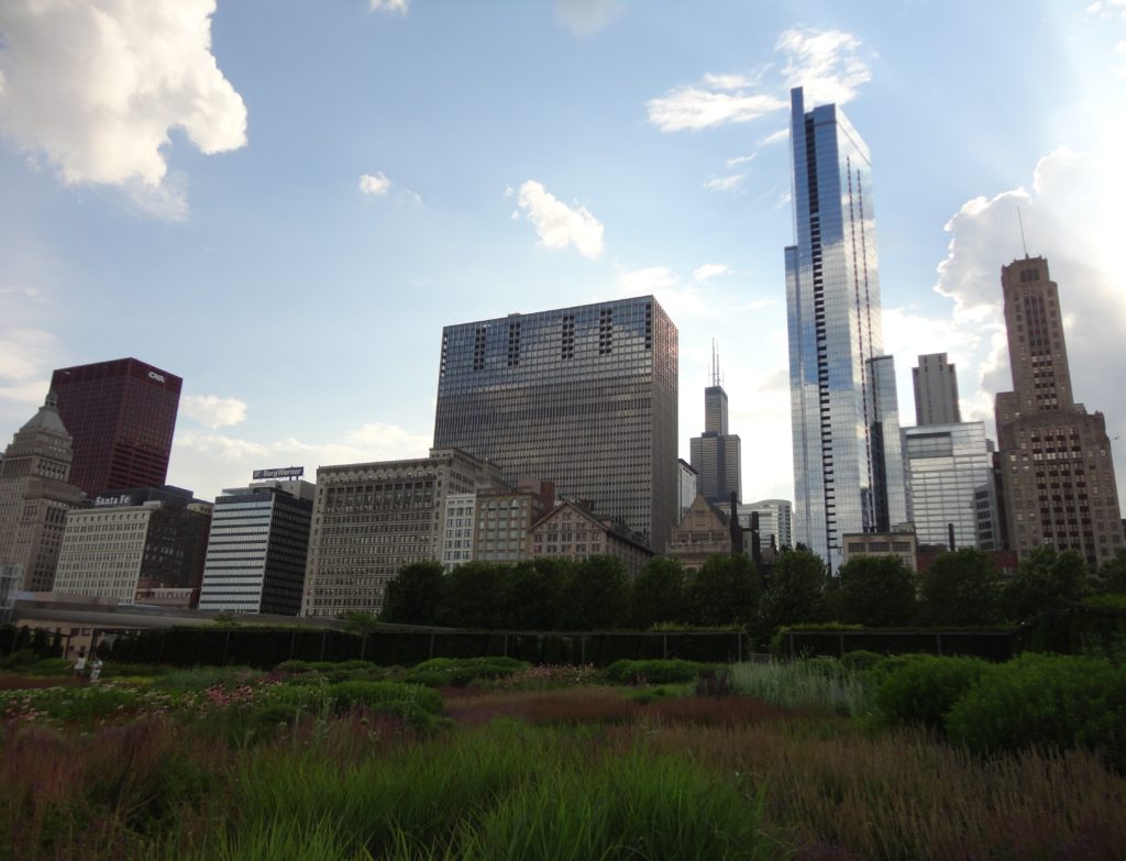 Chicago Skyline at Millennium Park