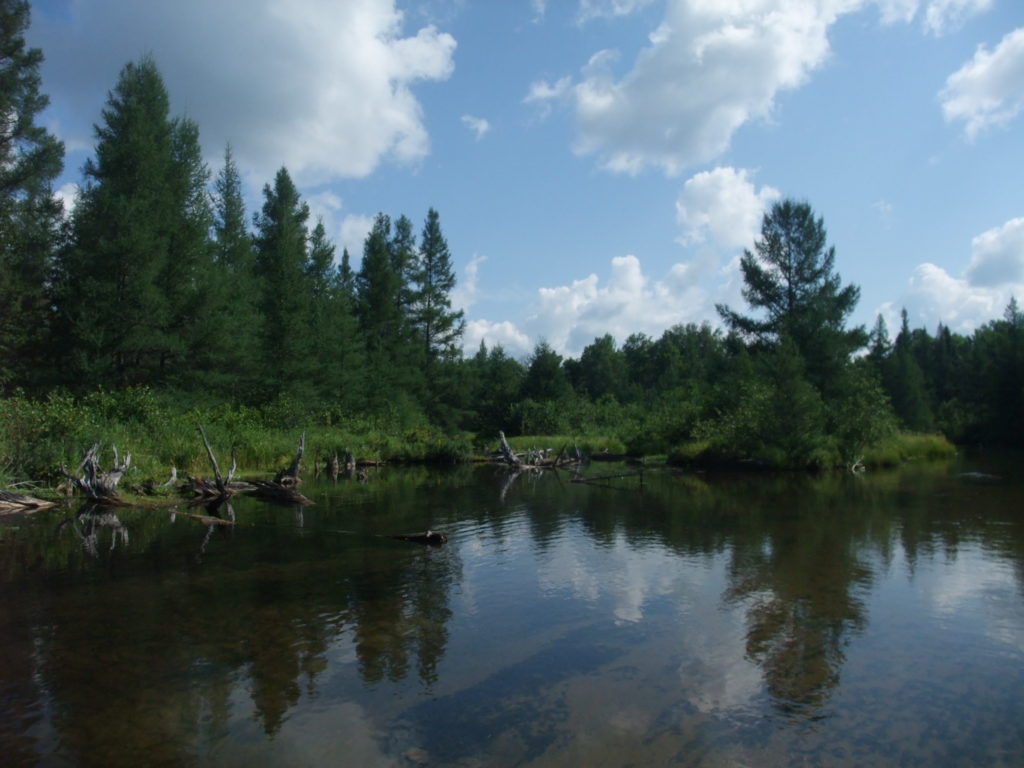 Manistee River