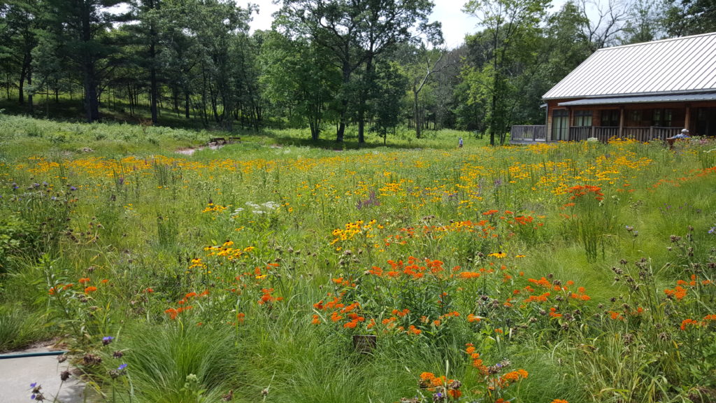 Aldo Leopold Foundation