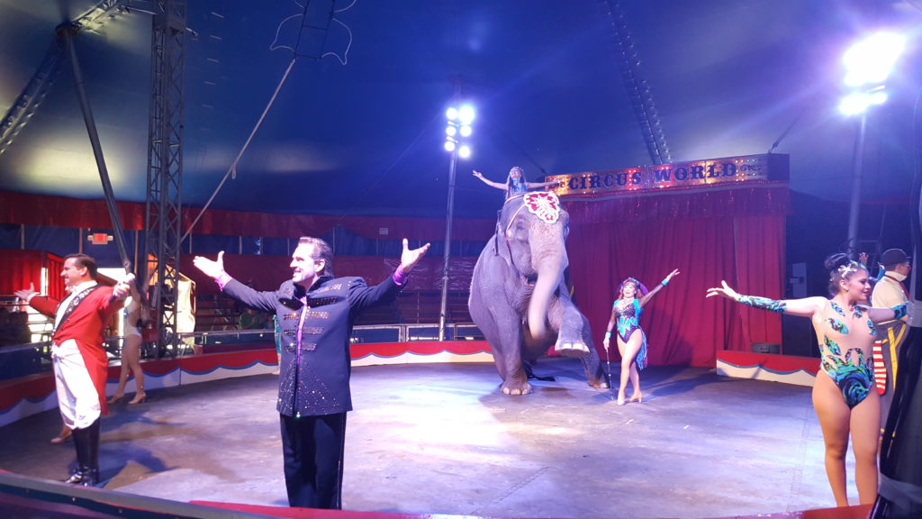 Circus World Museum show
