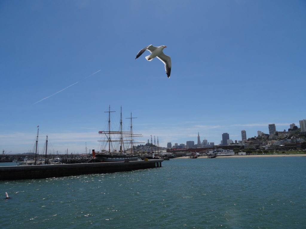 San Francisco Maritime National Historical Park and skyline