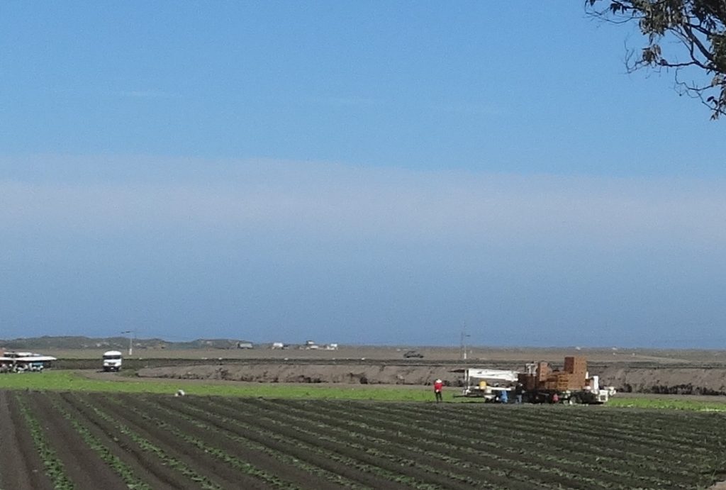 California farm