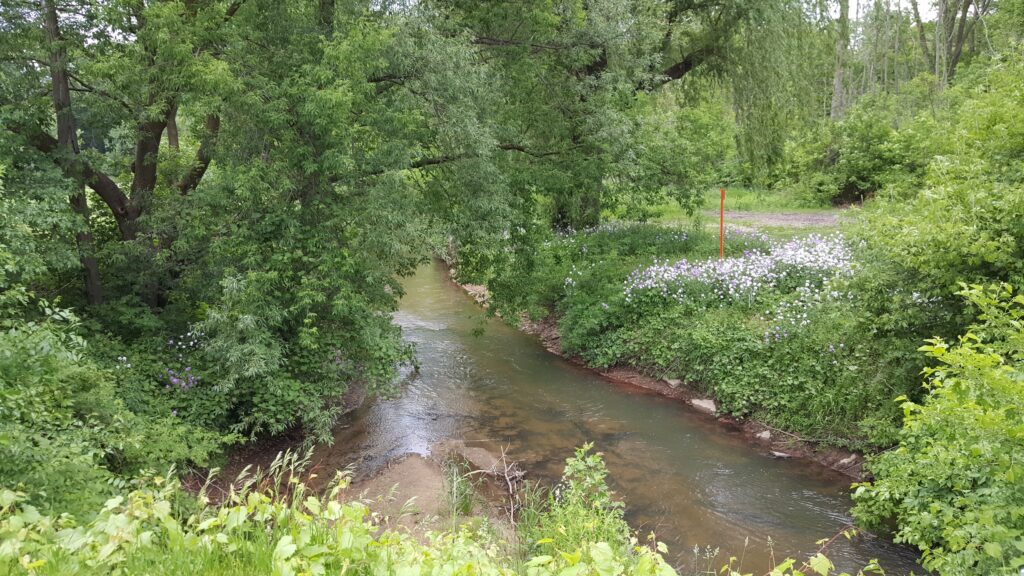 Hickory Creek