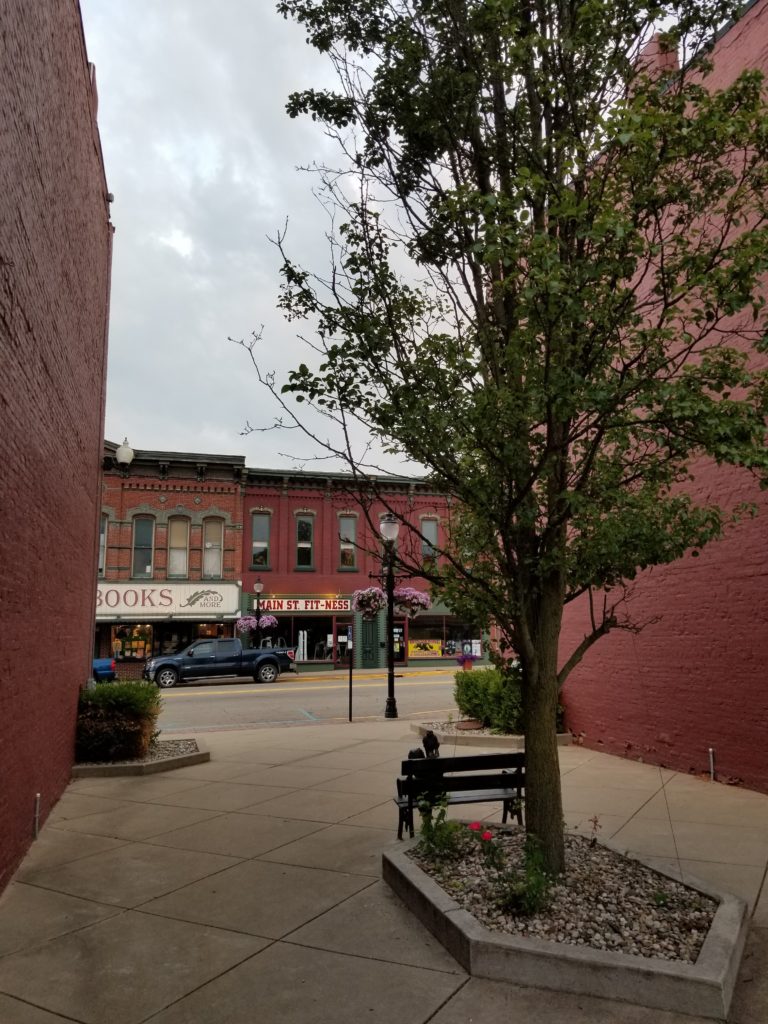 Beautified alley, Three Rivers