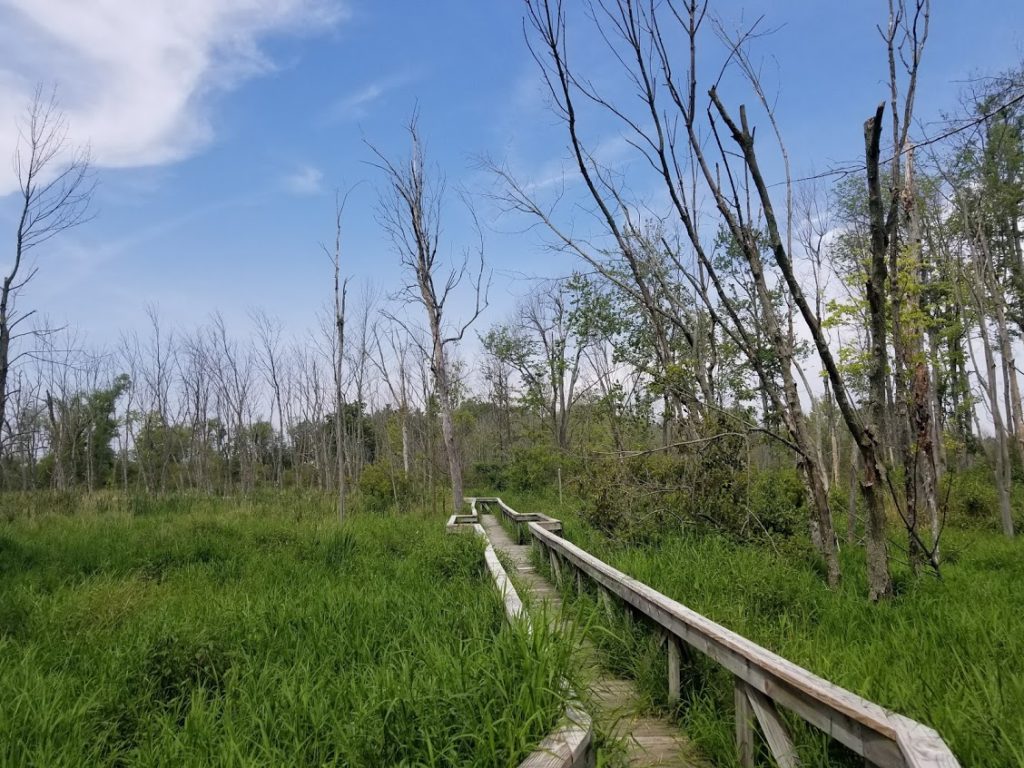 Spicer Lake Nature Preserve