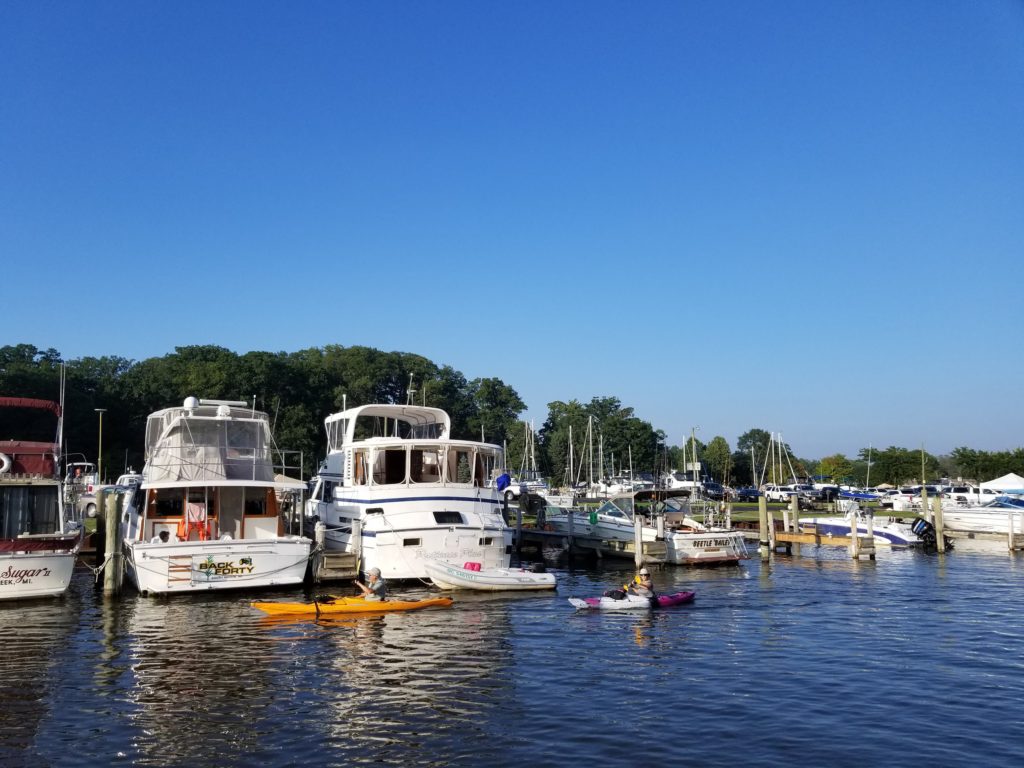 Black River kayakers in South Haven Harbor