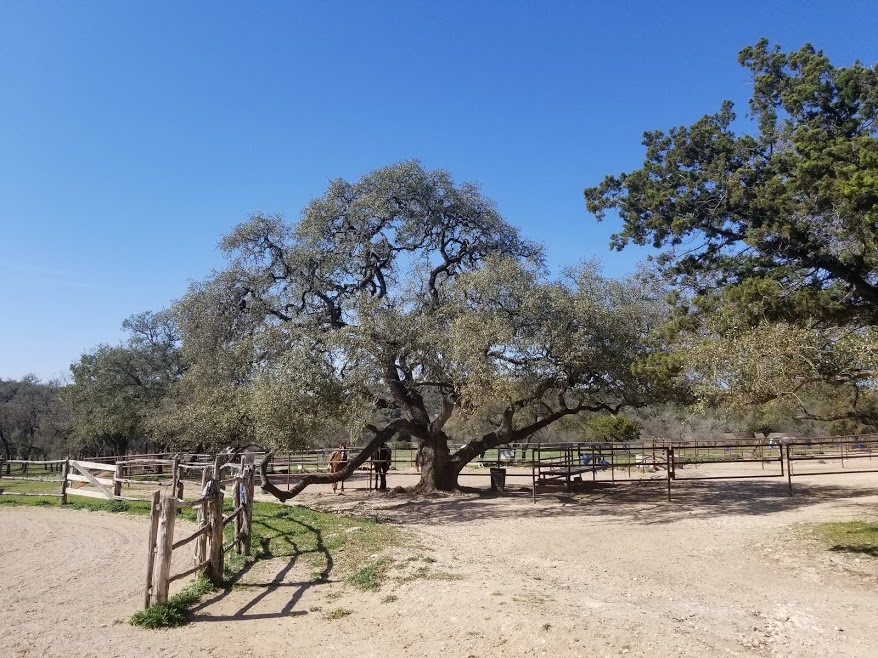 Rancho Cortez, Bandera