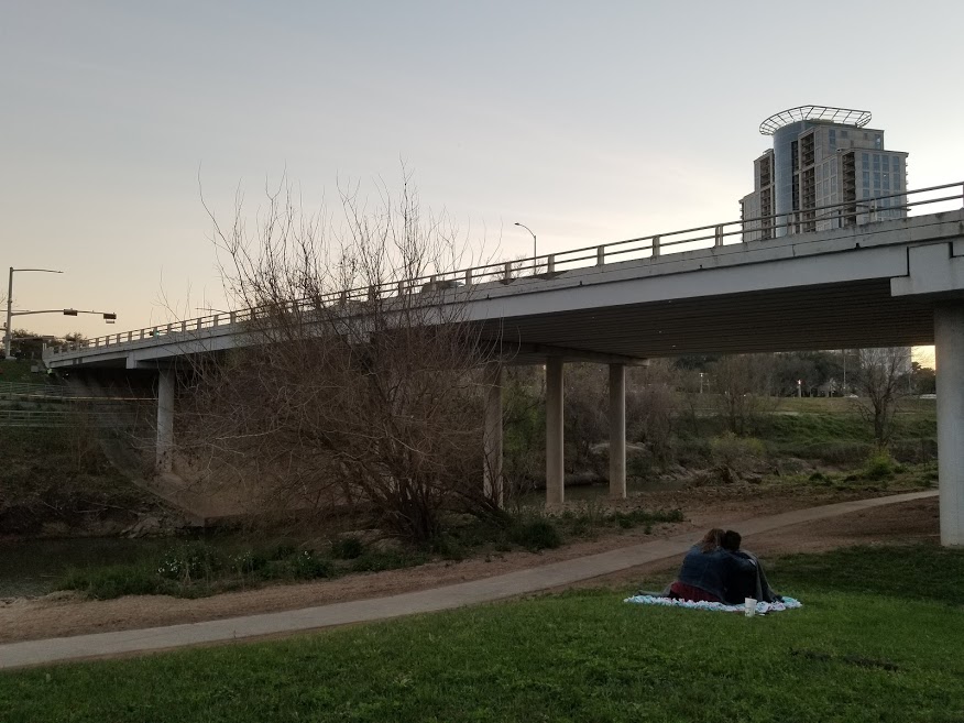 Bats of Waugh Drive Bridge