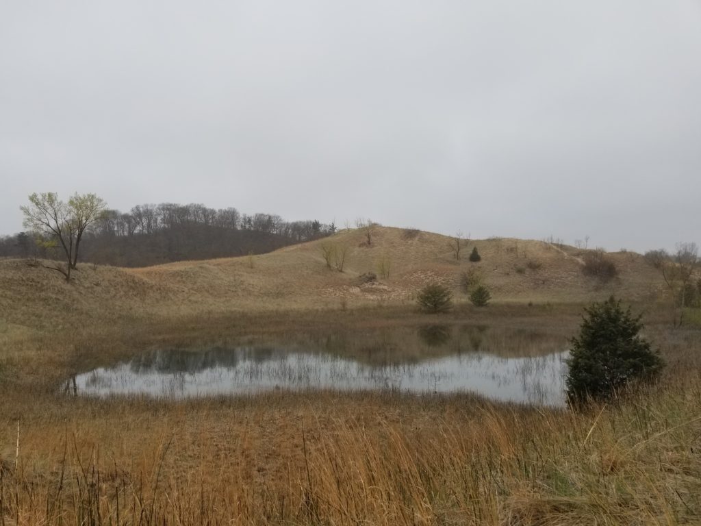 Porter Lakefront, Indiana Dunes National Park