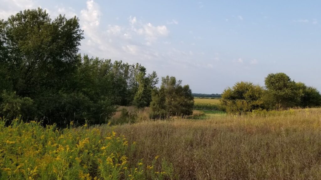 Place Trail Marsh