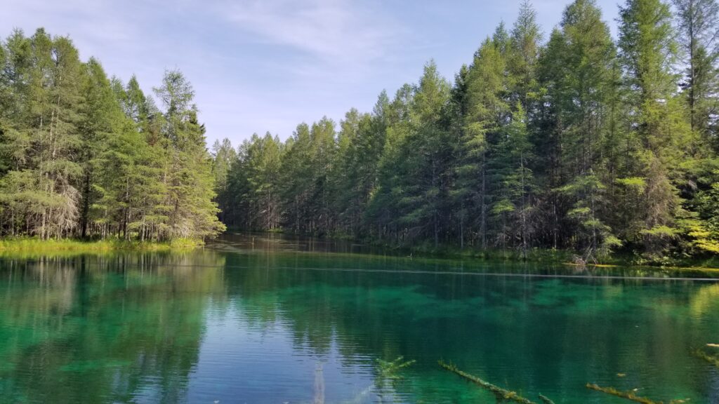 Kitch-iti-kipi, Palms Book State Park, Michigan