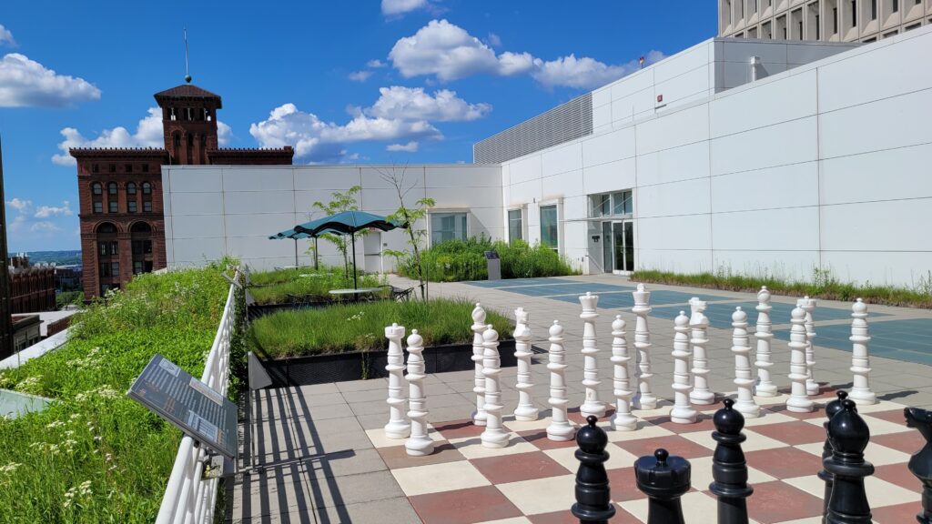 Rooftop Terrace, Central Library