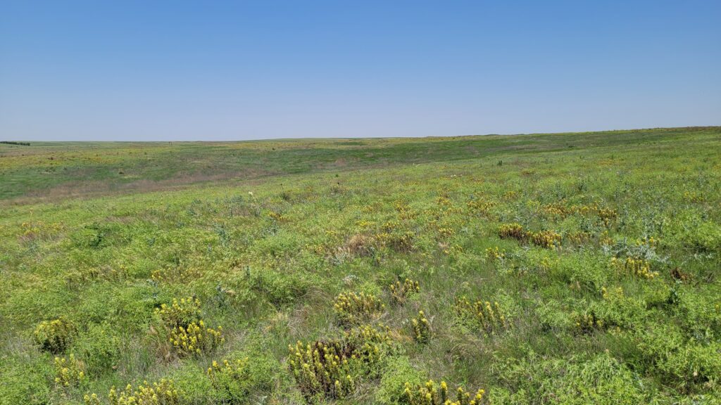 Santa Fe Trail Shortgrass Prairie