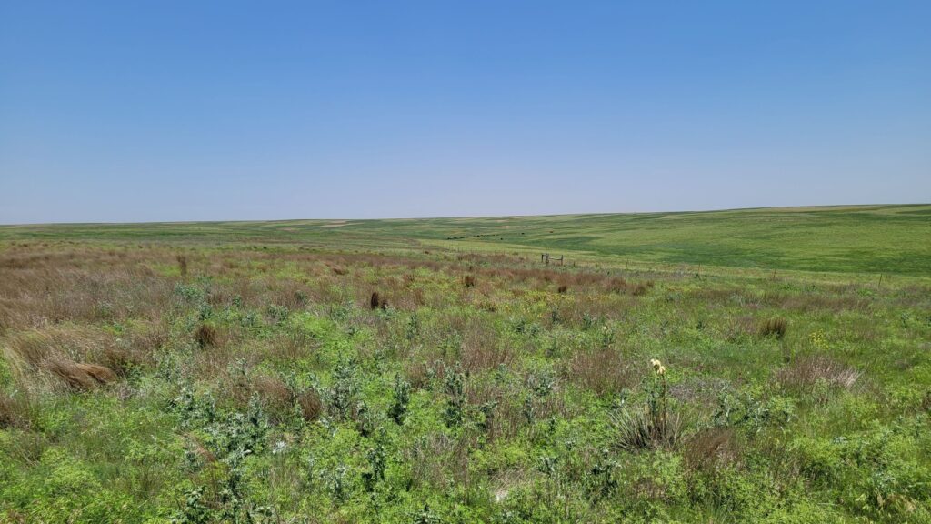 Santa Fe Trail Shortgrass Prairie