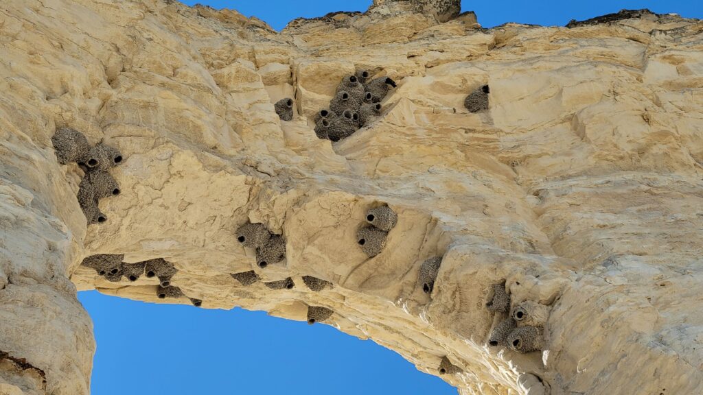 Monument Rocks-Kansas Badlands