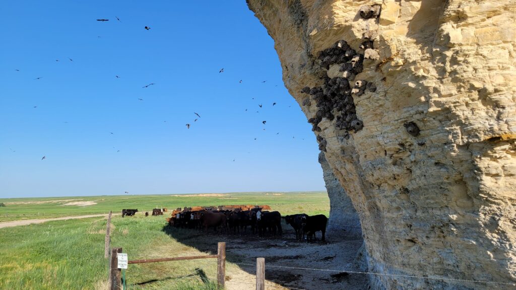 Little Pyramids-Kansas Badlands