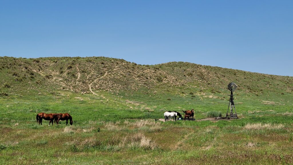 Nebraska Sandhills