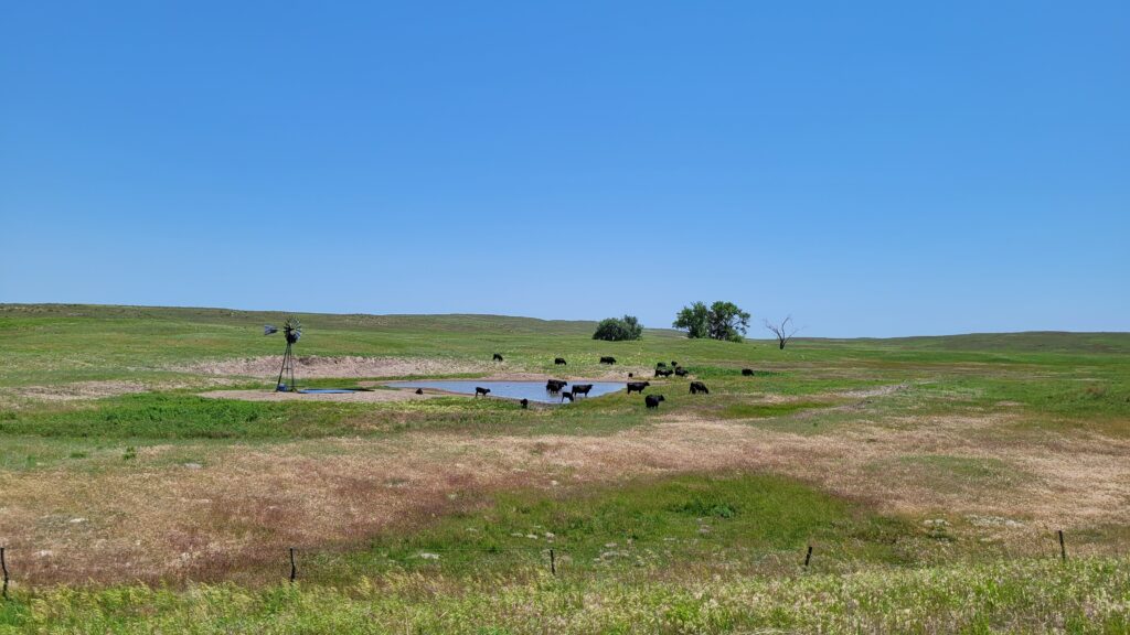 Nebraska Sandhills