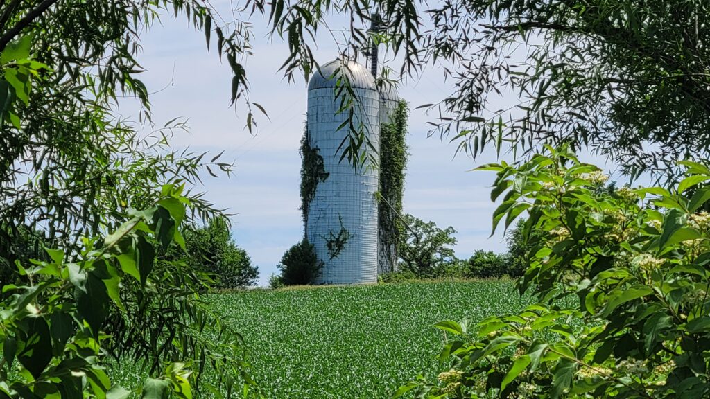 Iowa corn field and silo