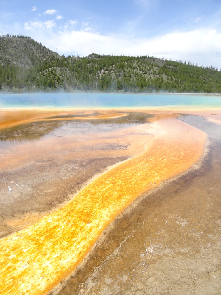 Grand Prismatic Spring