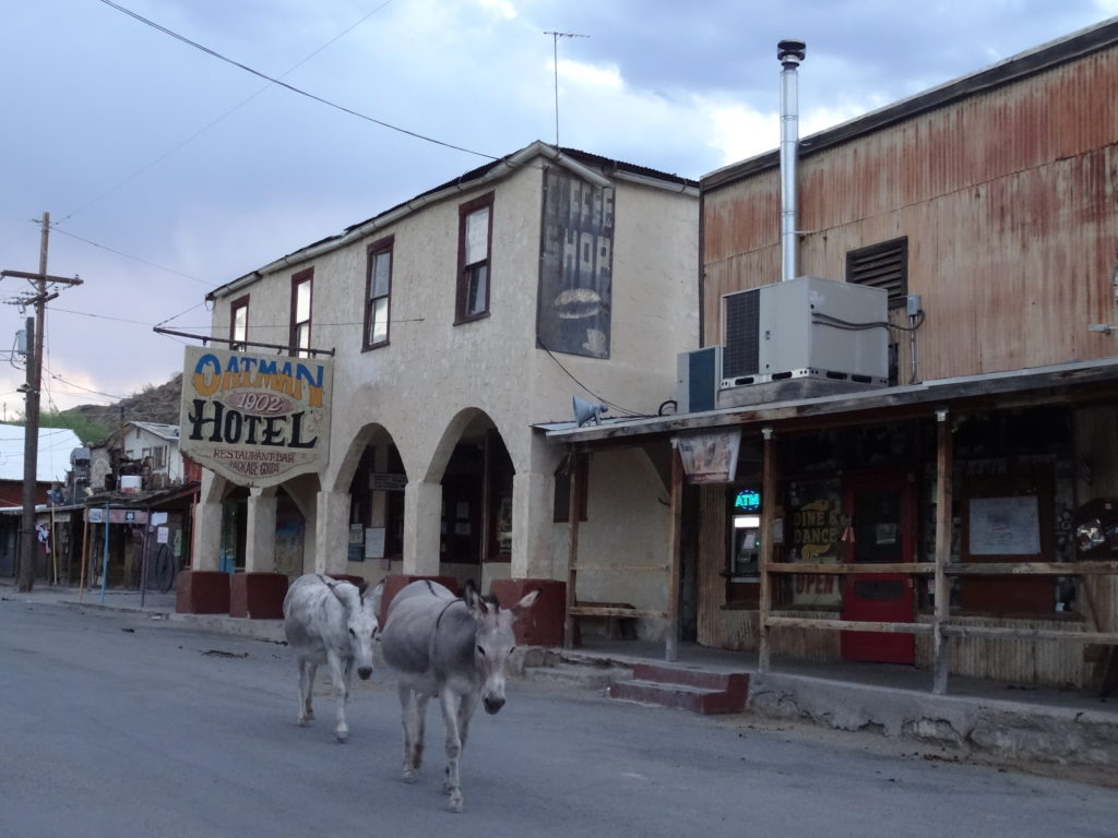 Oatman Hotel and burros