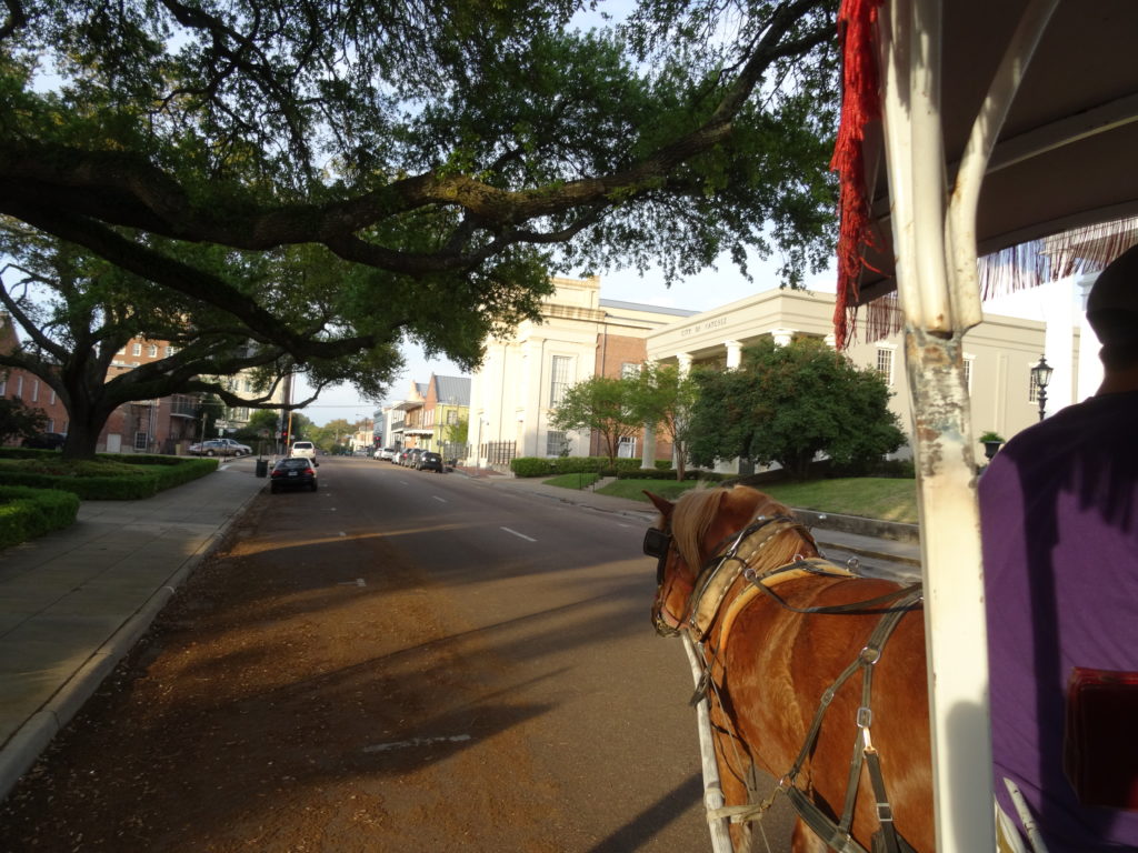 Horse Carriage Historic Tour, Natchez