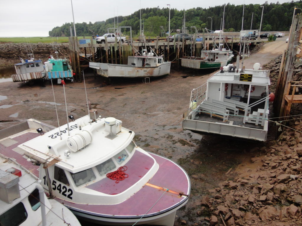 Bay of Fundy Coast, Alma, New Brunswick