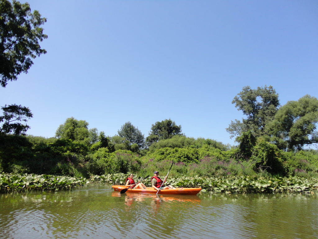 Kayaking in Louis J. Sima Great Lakes Marsh Preserve, New Buffalo