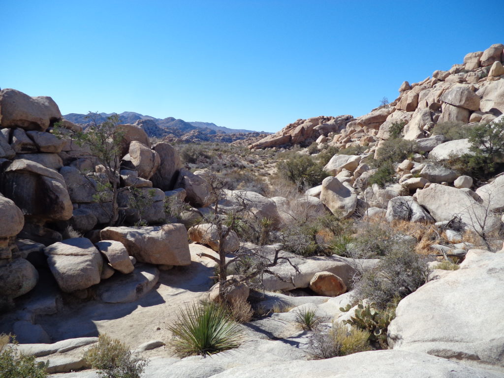 Joshua Tree National Park