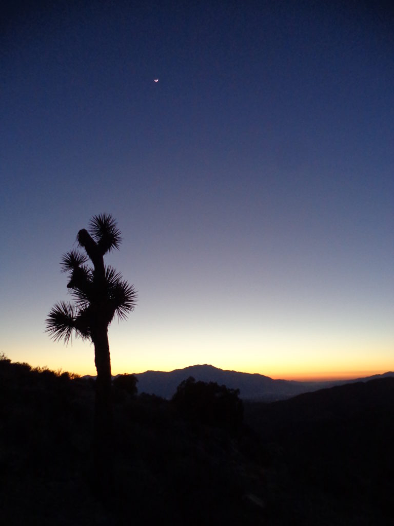 Keys View, Joshua Tree National Park