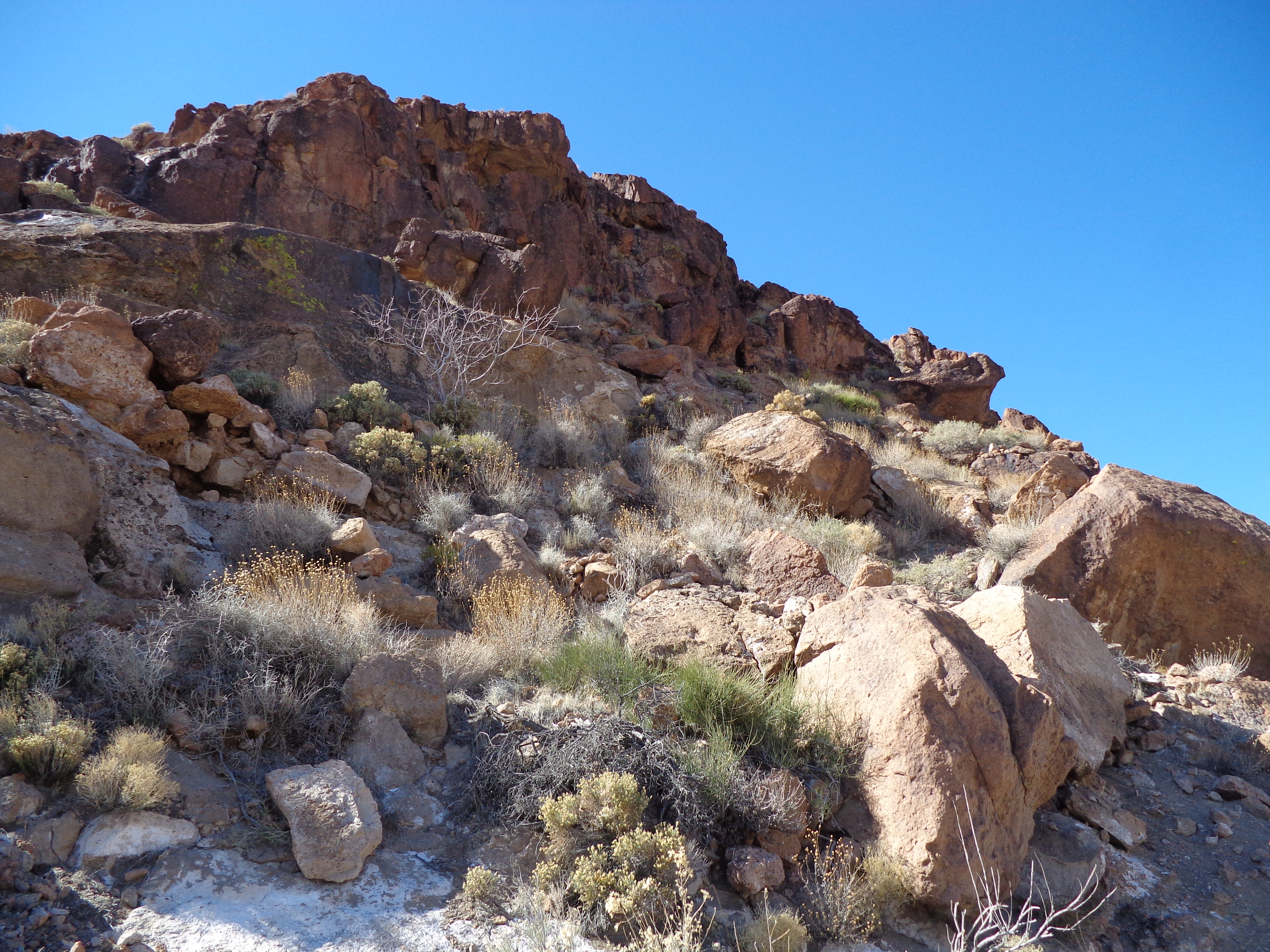 Mojave National Preserve