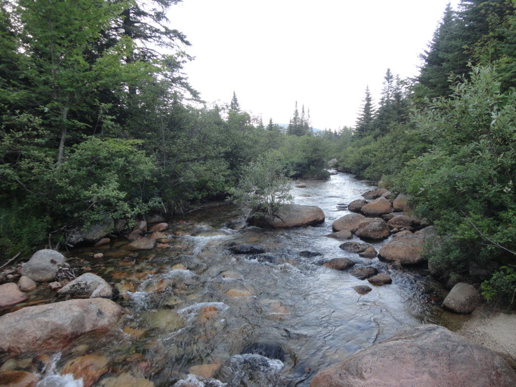 Near Katahdin Woods and Waters National Monument
