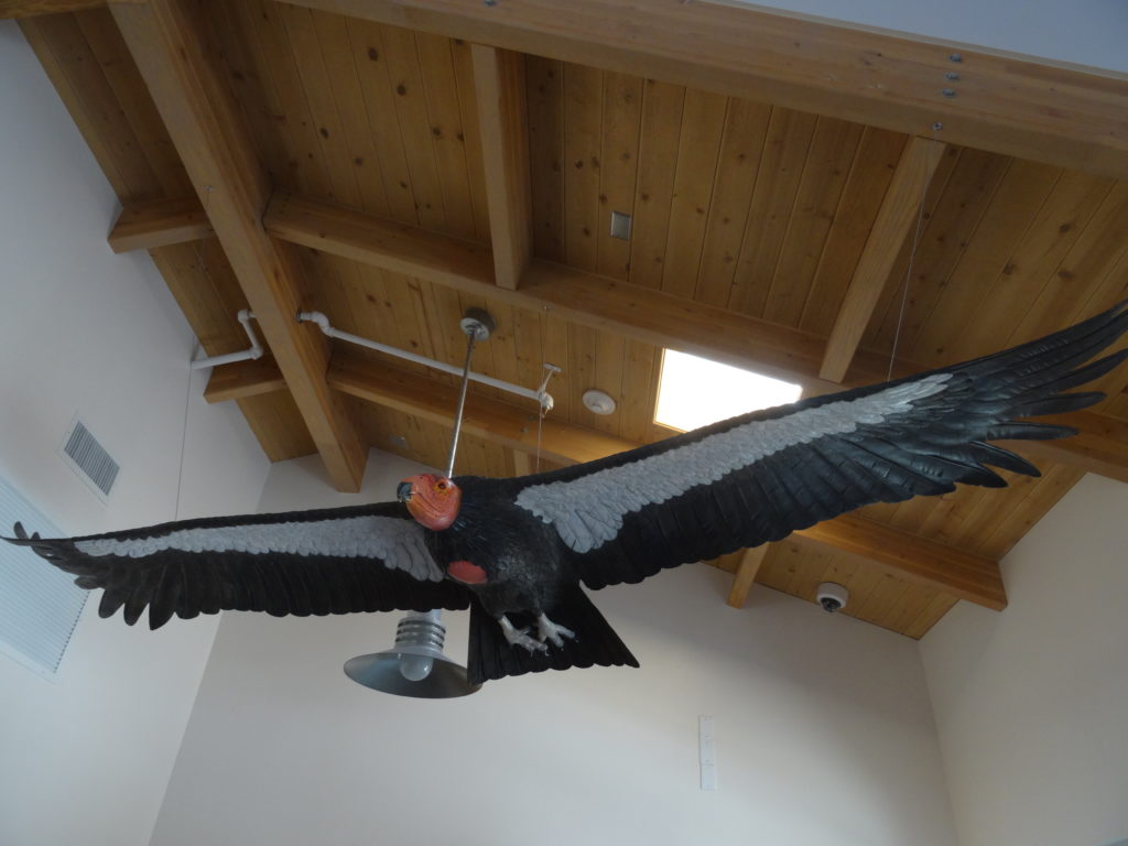 Artificial California condor