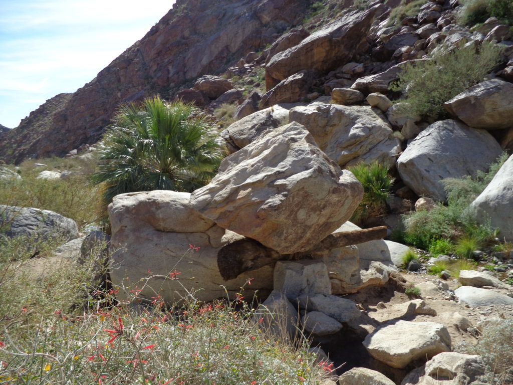 Anza-Borrego Desert State Park