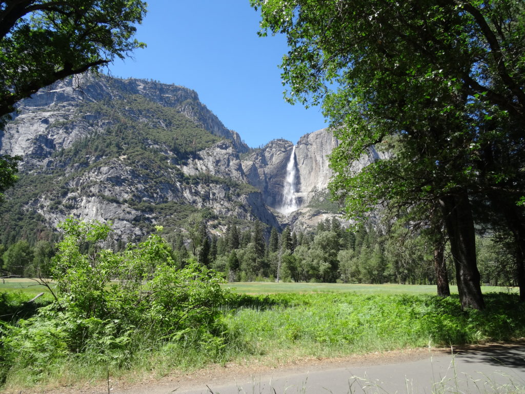 Yosemite Valley - Valley Floor