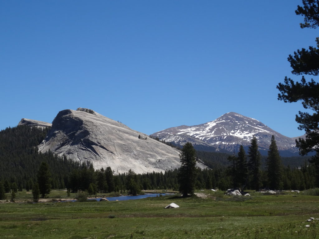 Tuolumne Meadows