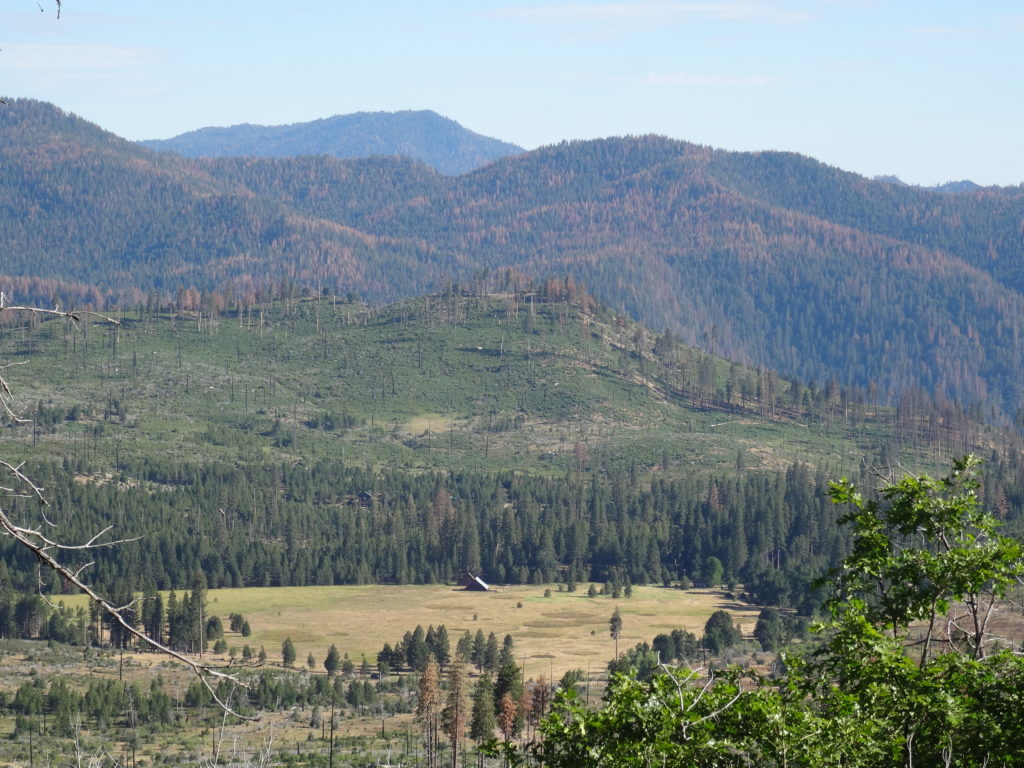 Big Oak Flat Road