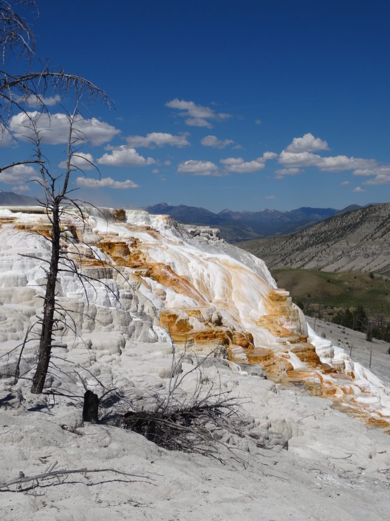 Mammoth Hot Springs