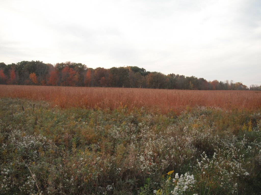 Chikaming Township Park and Preserve